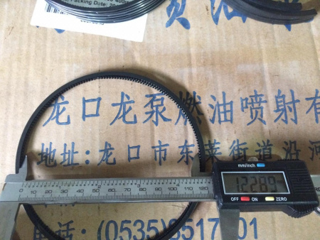 Поршневая группа в сборе двигателя Weichai WD10G220